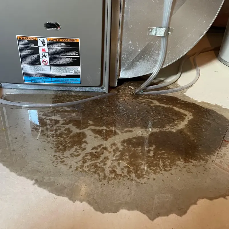 Appliance Leak Cleanup in Washoe County, NV