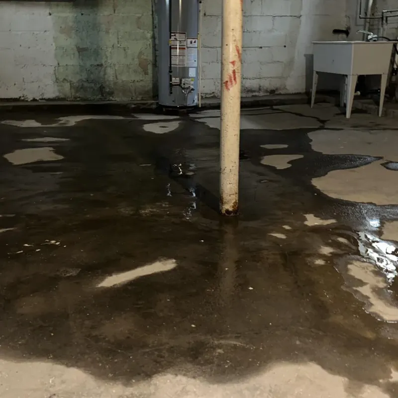 Emergency Water Extraction And Removal in Washoe County, NV